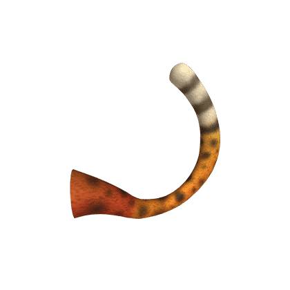 Savannah Cat Tail