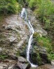Cascada Lotrisor