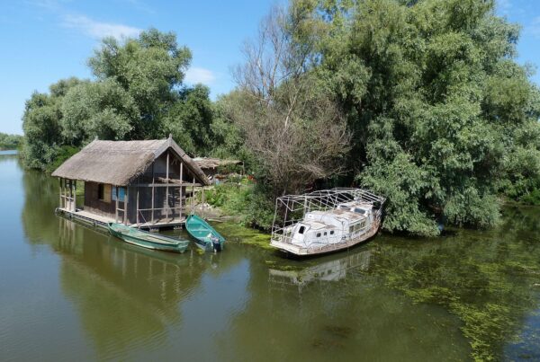 Casă pescărească tradițională cu acoperiș de stuf, pe malul unui canal din Delta Dunării, cu bărci ancorate în față